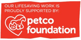 Petco Foundation