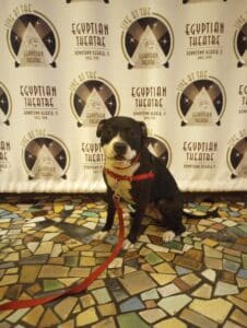 IMG_20230805_170822908